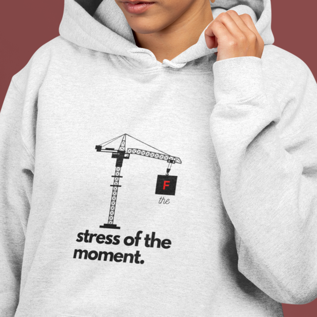 Structural Engineering Pun Hoodie