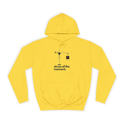 Structural Engineering Pun Hoodie