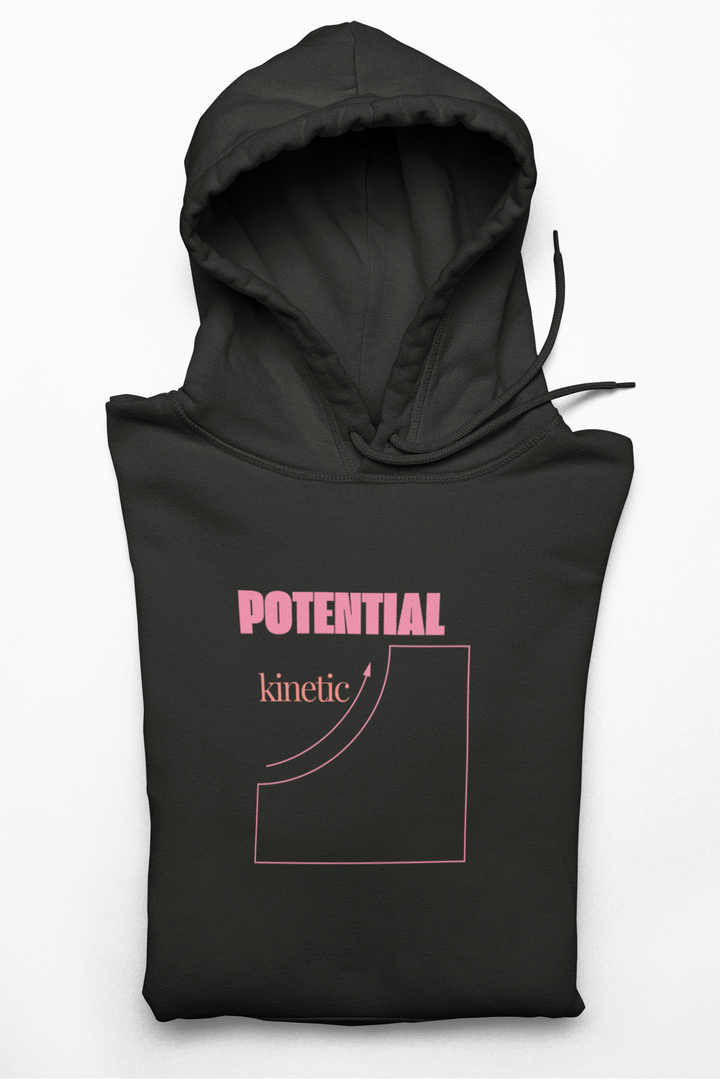 Physics Pun College Hoodie