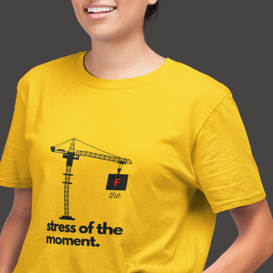 Structural Engineering Pun T-Shirt